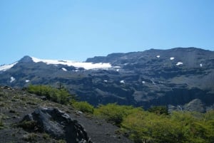 Conguillío National Park Tour, Full day