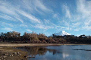 Excursión al Parque Nacional del Conguillío, Día completo