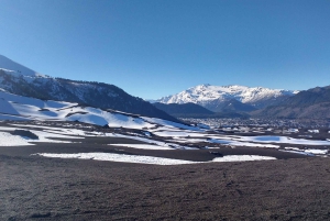 Excursión al Parque Nacional del Conguillío, Día completo