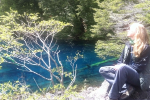 Excursión al Parque Nacional del Conguillío, Día completo