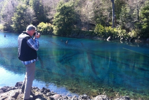 Excursión al Parque Nacional del Conguillío, Día completo