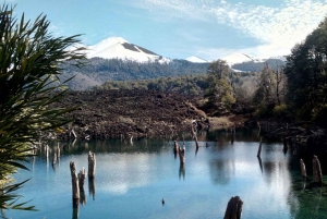 Excursión al Parque Nacional del Conguillío, Día completo