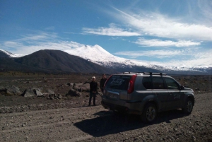 Excursión al Parque Nacional del Conguillío, Día completo