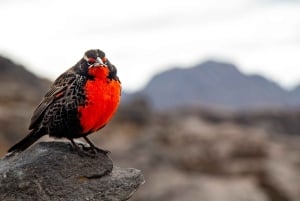 Ruta de senderismo guiada por Córdoba, Argentina: naturaleza y cascadas
