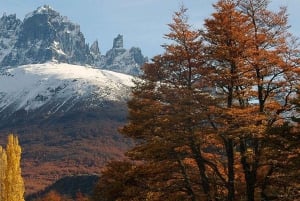 Coyhaique: Visita às grutas de mármore e à catedral com almoço