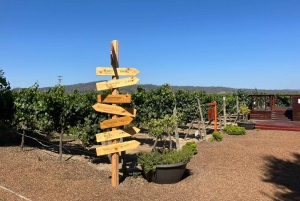 Cultura y vino en 3 días: Valparaíso, Viña del Mar y el valle de Casablanca