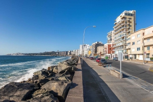 Kolme päivää kulttuuria ja viiniä: Valparaíso, Viña del Mar ja Casablancan laakso