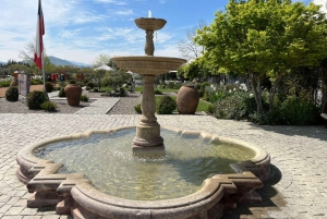 Kolme päivää kulttuuria ja viiniä: Valparaíso, Viña del Mar ja Casablancan laakso