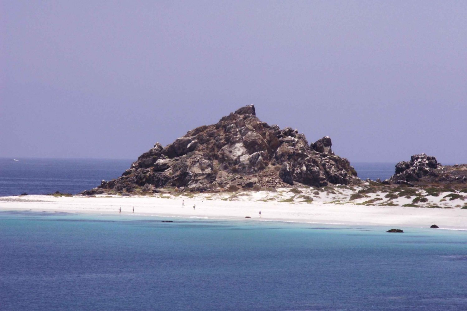 Damasin tai Chañaralin saari: Humboldtin pingviinien suojelualueella.