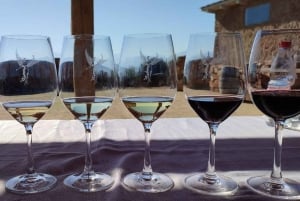 Discover the Colchagua Valley's Wine Experience