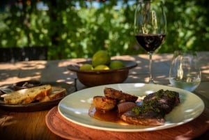 Discover the Colchagua Valley's Wine Experience