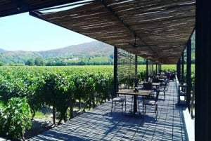 Discover the Colchagua Valley's Wine Experience