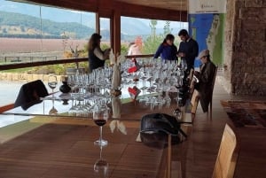 Discover the Colchagua Valley's Wine Experience