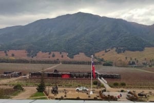 Discover the Colchagua Valley's Wine Experience