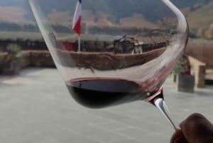 Discover the Colchagua Valley's Wine Experience