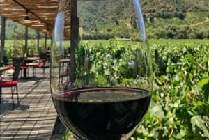 Discover the Colchagua Valley's Wine Experience