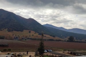 Discover the Colchagua Valley's Wine Experience