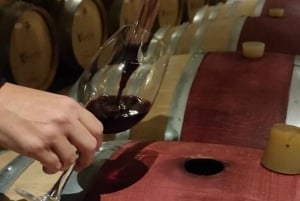 Discover the Colchagua Valley's Wine Experience