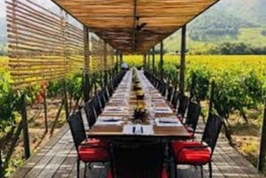 Discover the Colchagua Valley's Wine Experience