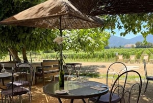 Discover the Colchagua Valley's Wine Experience