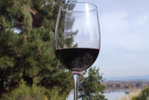 Discover the Colchagua Valley's Wine Experience