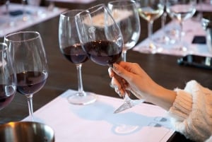 Discover the Colchagua Valley's Wine Experience