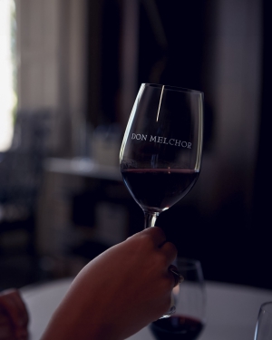 Don Melchor Winery