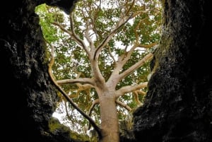 Ilha de Páscoa: Cavernas ancestrais e a última aldeia de Orongo