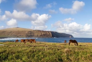 L'île de Pâques : A la découverte de la côte nord de Rapa Nui
