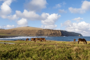 Die Osterinsel: Entdeckung der Nordküste von Rapa Nui