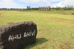 Paaseiland: Archeologietour van een halve dag