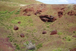 Isla de Pascua: Excursión Arqueológica de Medio Día