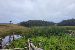 Easter Island: Highest Point Hike Terevaka