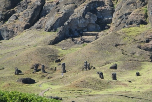 Påskön: Moai Privat dagsutflykt