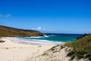 Påskön: Moai Privat dagsutflykt