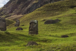 Påskön: Moai Privat dagsutflykt