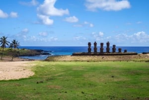 Påskön: Moai Privat dagsutflykt
