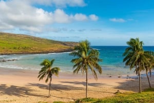 Påskön: Moai Privat dagsutflykt