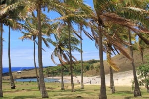 Påskön: Moai Privat dagsutflykt