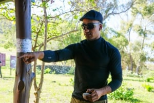 Påskön: Moai Privat dagsutflykt