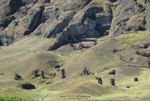 Easter Island: Moai Full Day Private Tour