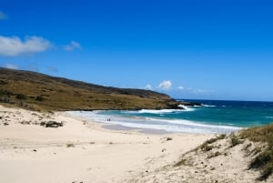 Easter Island: Moai Full Day Private Tour