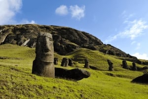 Easter Island: Moai Full Day Private Tour