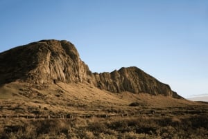 Easter Island: Moai Full Day Private Tour