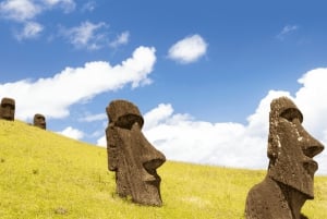 Easter Island: Moai Full Day Private Tour