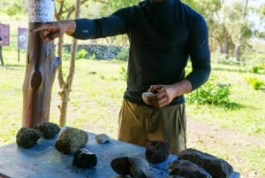 Easter Island: Moai Full Day Private Tour