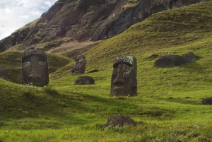 Isola di Pasqua: Moai Tour privato di un giorno intero
