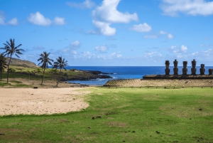 Isola di Pasqua: Moai Tour privato di un giorno intero