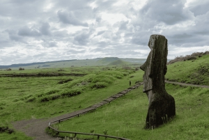 Isola di Pasqua: Moai Tour privato di un giorno intero