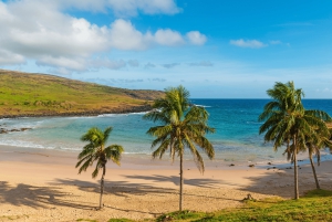 Isola di Pasqua: Moai Tour privato di un giorno intero